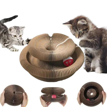 Kitten Training Ball Game