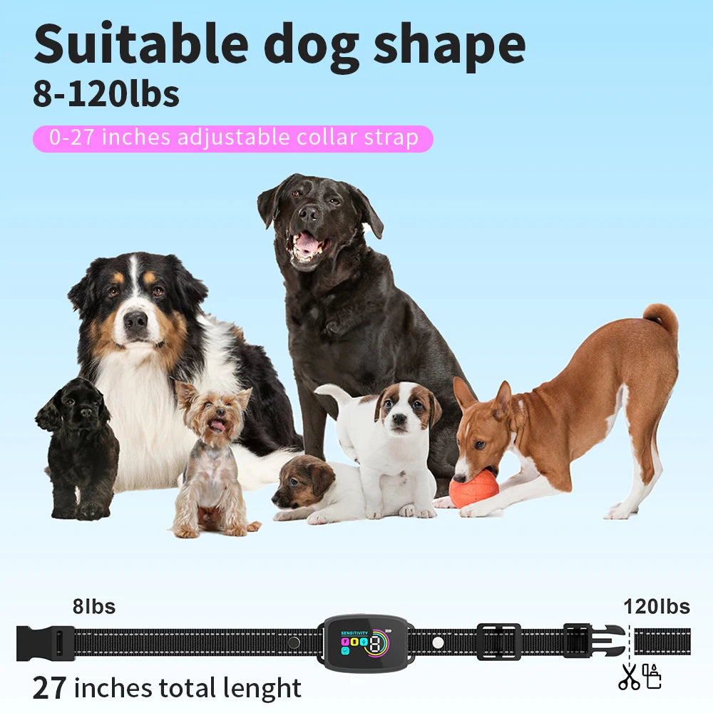 Automatic Dog Training Device