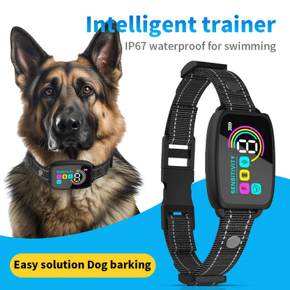 Automatic Dog Training Device